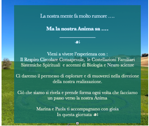 Creando Connessioni
